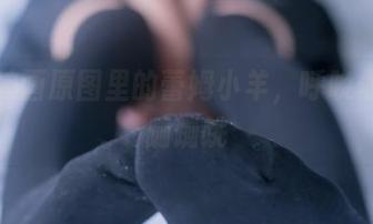 兔玩映画原图里的蕾姆小羊，呼唤你的心蹦蹦跳